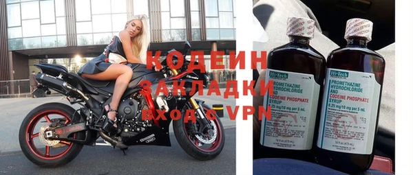 эйфоретик Арсеньев