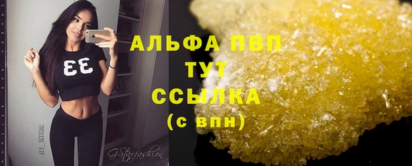 эйфоретик Арсеньев