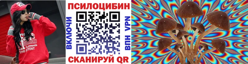 Галлюциногенные грибы Psilocybe  Урай 